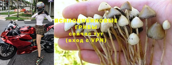 a pvp Краснослободск